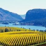 canadian wine industry